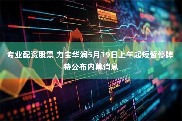 专业配资股票 力宝华润5月19日上午起短暂停牌 待公布内幕消息