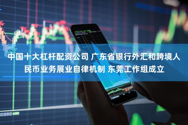 中国十大杠杆配资公司 广东省银行外汇和跨境人民币业务展业自律机制 东莞工作组成立
