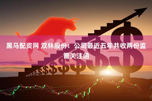 黑马配资网 双林股份：公司最近五年共收两份监管关注函
