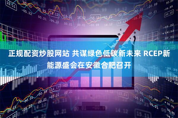 正规配资炒股网站 共谋绿色低碳新未来 RCEP新能源盛会在安徽合肥召开